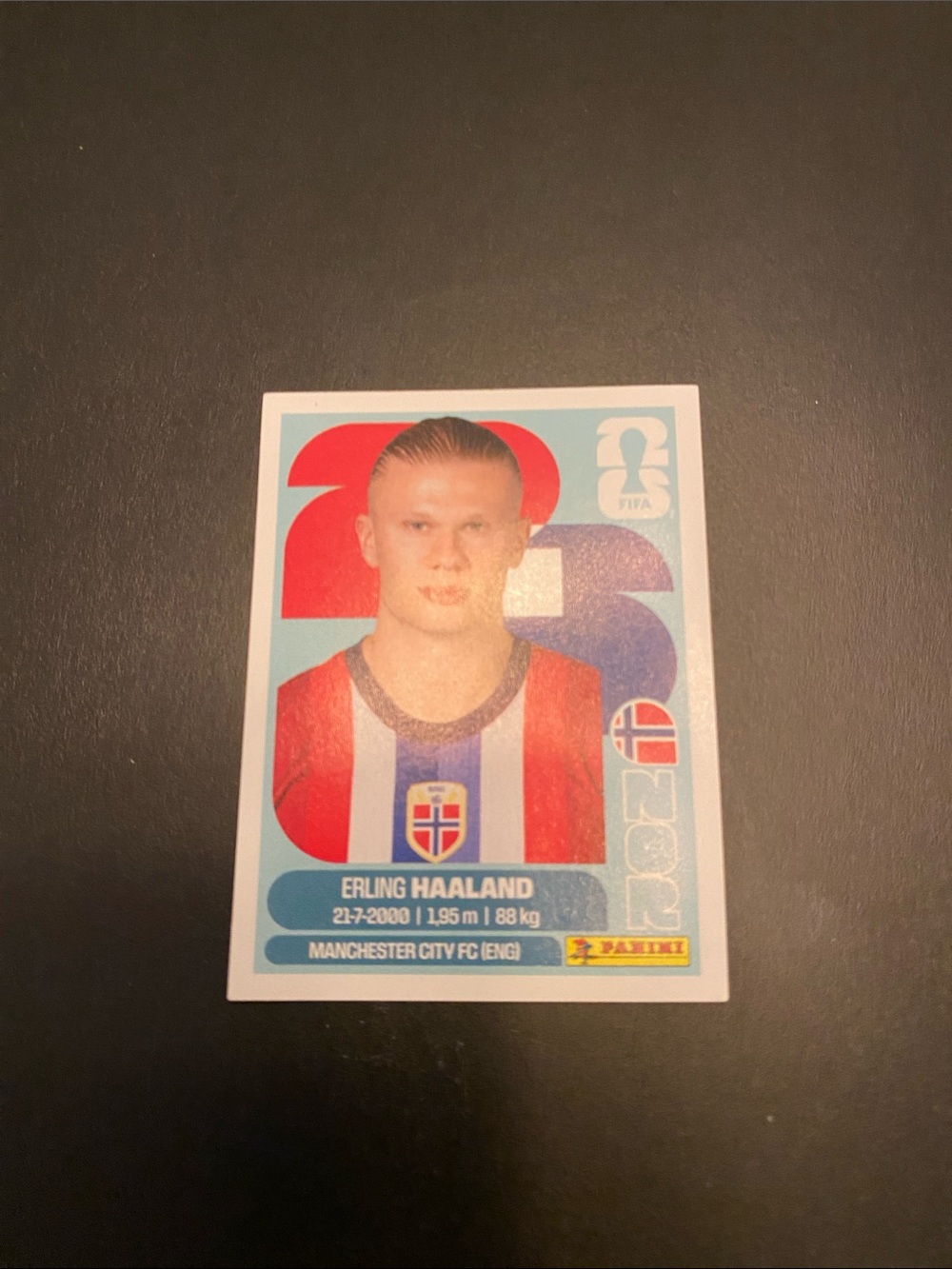 Panini Erling Haaland Sticker - Blue & Red